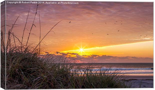 Sunrise at the Beach Canvas Print by Robert Pettitt