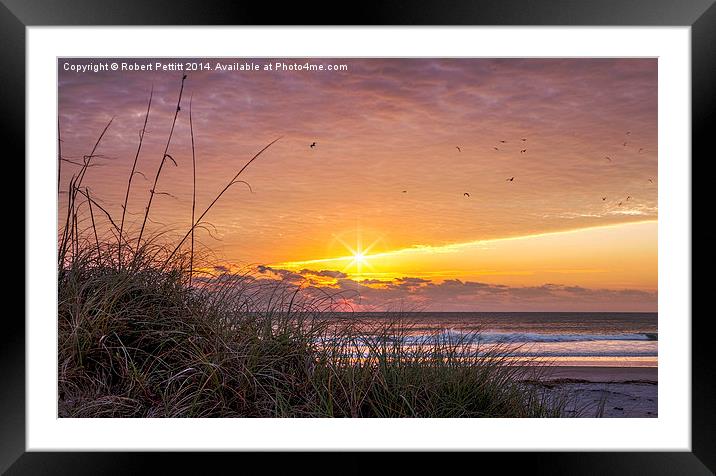 Sunrise at the Beach Framed Mounted Print by Robert Pettitt