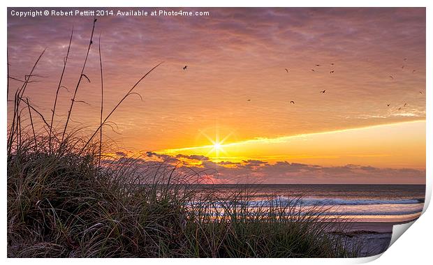 Sunrise at the Beach Print by Robert Pettitt