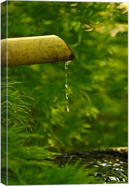 water feature Canvas Print by keith sutton