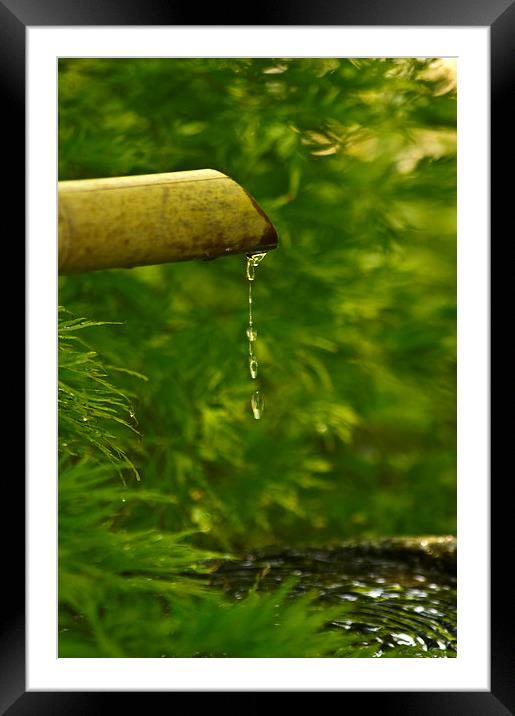 water feature Framed Mounted Print by keith sutton