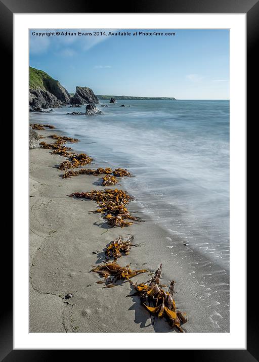 Seaweed Beach Framed Mounted Print by Adrian Evans