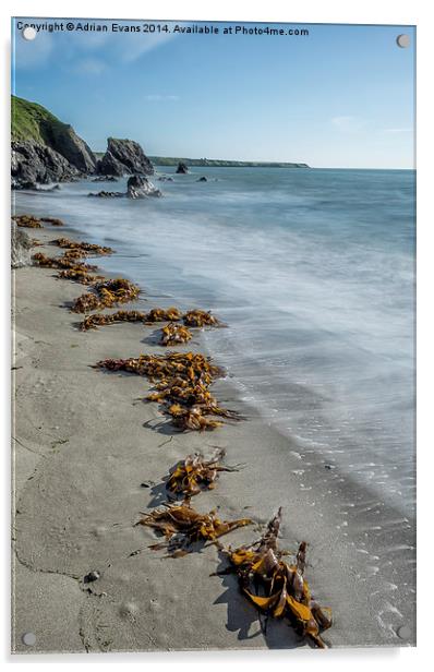 Seaweed Beach Acrylic by Adrian Evans