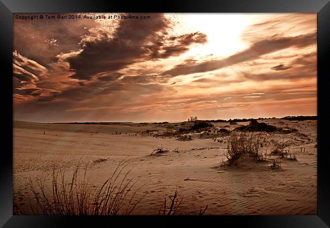 Sun Rays Over The Desert Sand Framed Print by Tom and Dawn Gari