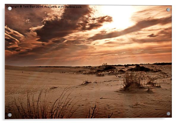 Sun Rays Over The Desert Sand Acrylic by Tom and Dawn Gari