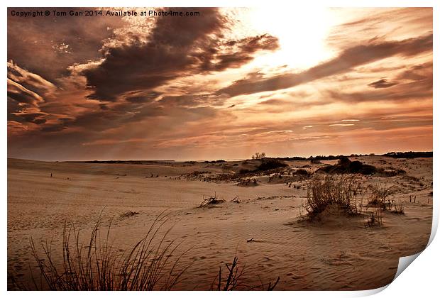 Sun Rays Over The Desert Sand Print by Tom and Dawn Gari