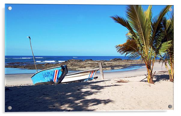 Boats at Rest  Near Palm Trees Acrylic by james balzano, jr.