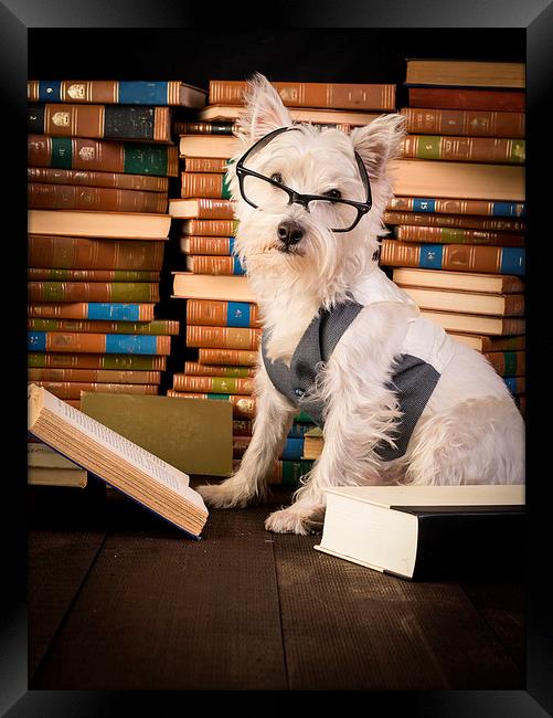 Dog reading books Framed Print by Edward Fielding