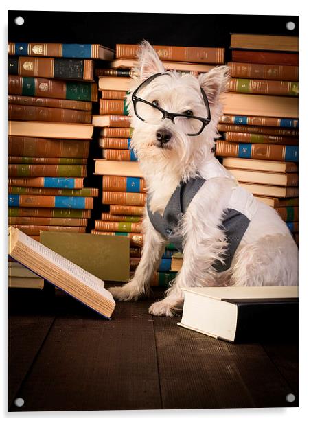 Dog reading books Acrylic by Edward Fielding