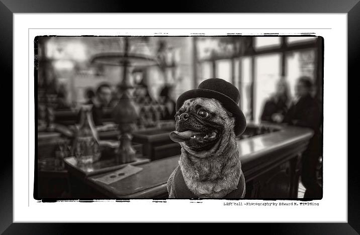 Pub Pug Framed Mounted Print by Edward Fielding
