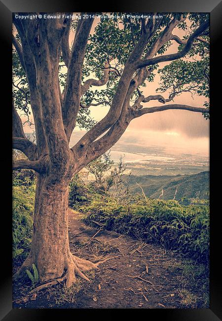 Ridge Trail Maui Hawaii Framed Print by Edward Fielding