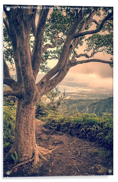 Ridge Trail Maui Hawaii Acrylic by Edward Fielding