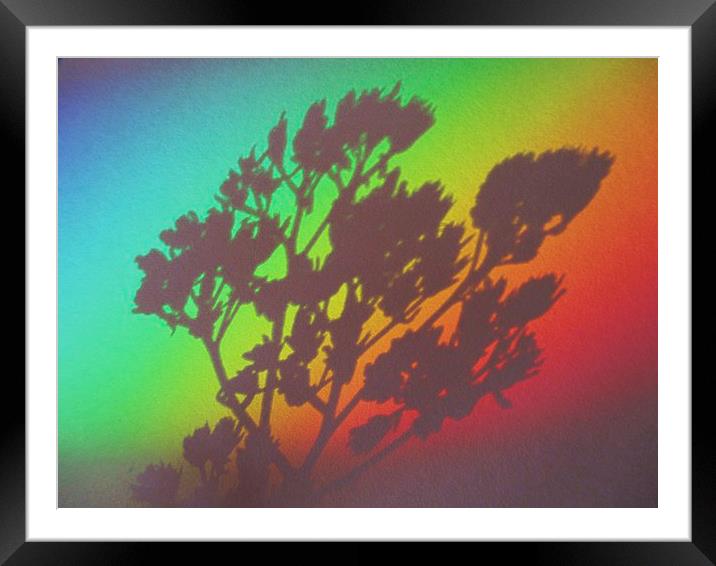 Rainbows End Framed Mounted Print by Martin Howard
