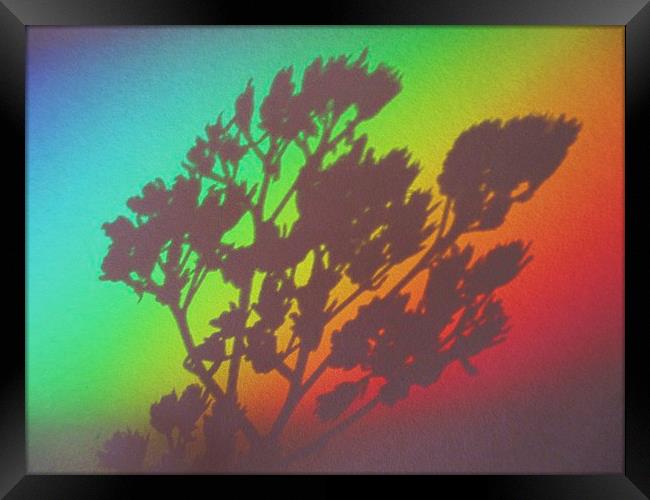 Rainbows End Framed Print by Martin Howard