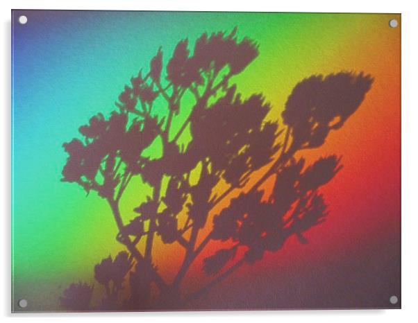 Rainbows End Acrylic by Martin Howard