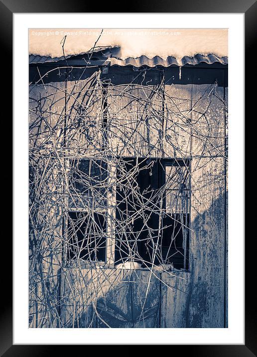 Old shack covered in twisty vines Framed Mounted Print by Edward Fielding