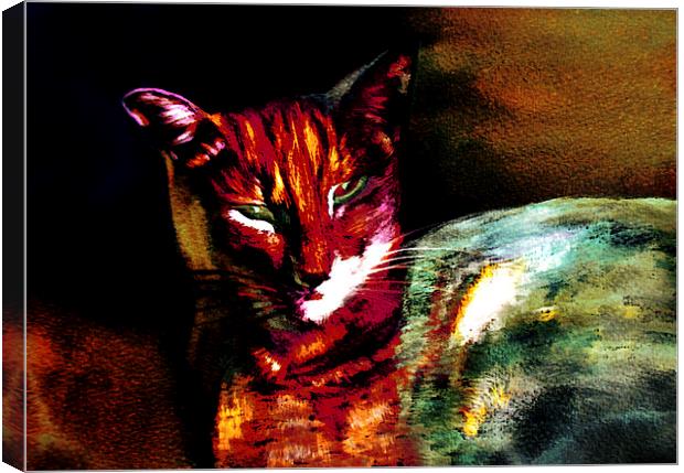 Lucifer Sam Tiger Cat Canvas Print by Martin Howard