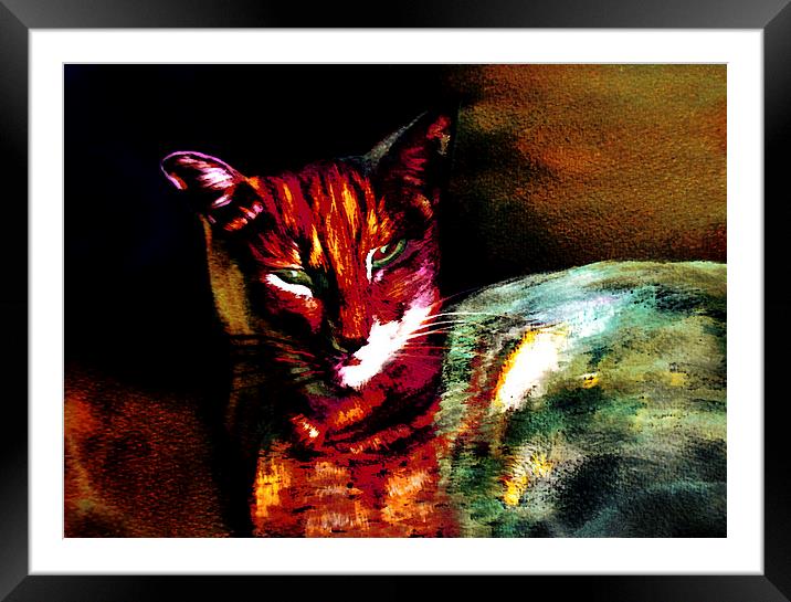 Lucifer Sam Tiger Cat Framed Mounted Print by Martin Howard