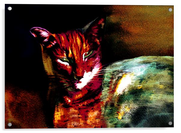 Lucifer Sam Tiger Cat Acrylic by Martin Howard