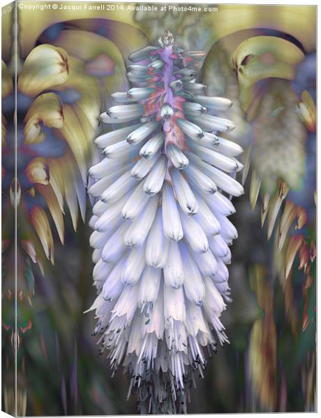 Abstract Lupin in Pastel Canvas Print by Jacqui Farrell
