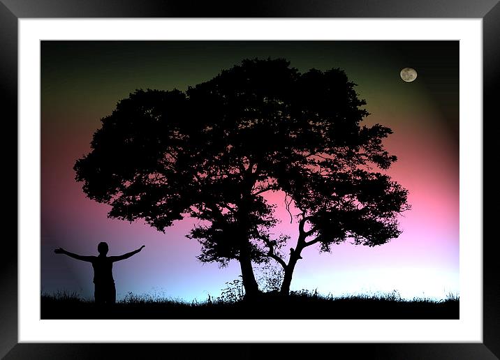 Tree of Life Digital Art  Framed Mounted Print by Jacqui Farrell