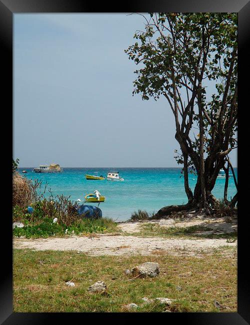 Inviting boats in Oistins Barbados Framed Print by Ann Biddlecombe