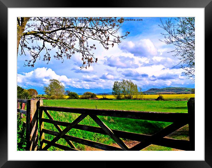Countryside Gateway. Framed Mounted Print by Jason Williams