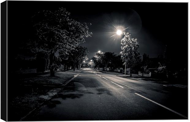 A lonely night in the country Canvas Print by Liam Gibbins