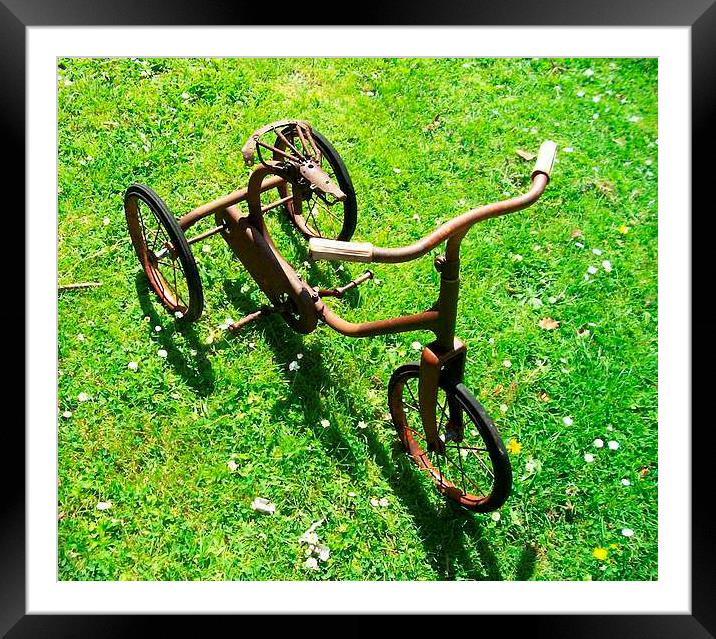 An old Trike Framed Mounted Print by Ann Biddlecombe
