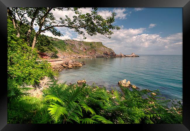 Ansteys Cove Torquay and Long Quarry Point Framed Print by Rosie Spooner