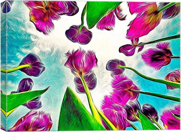 Feathered Tulips Canvas Print by Scott Anderson
