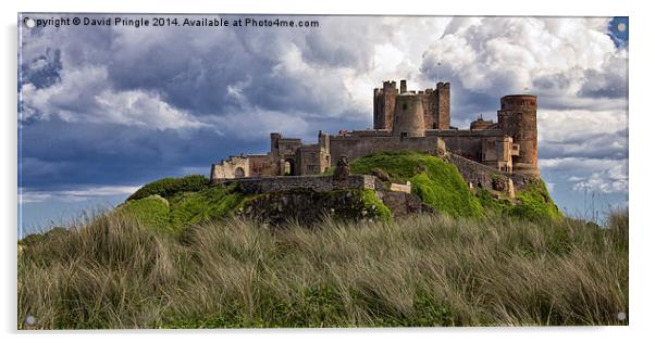 Bamburgh Castle Acrylic by David Pringle
