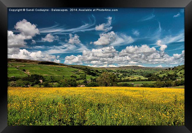 Dalescapes: Golden Meadow Framed Print by Sandi-Cockayne ADPS