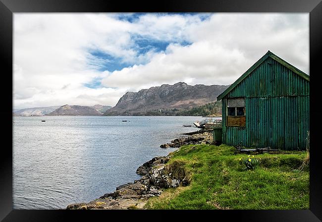 The Green Shed Framed Print by Jacqi Elmslie