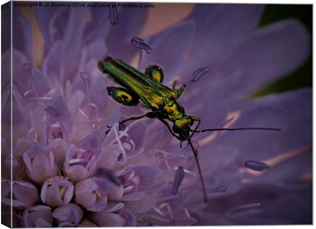 green bug Canvas Print by Jo Beerens