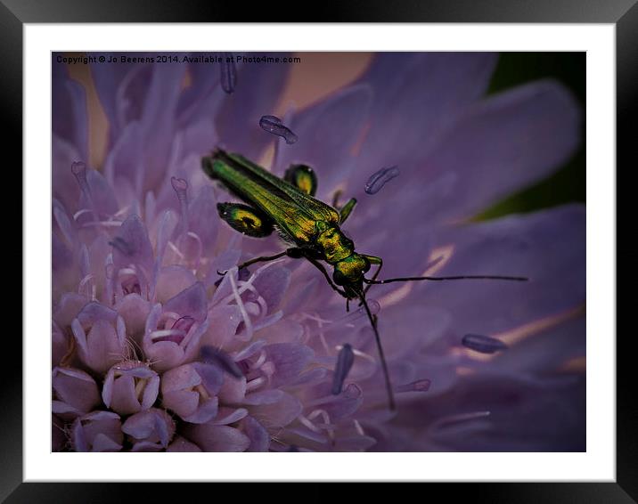 green bug Framed Mounted Print by Jo Beerens
