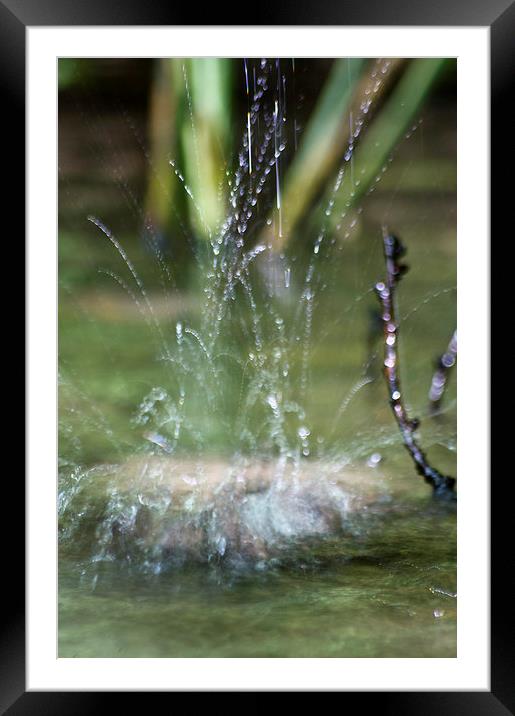 splash Framed Mounted Print by keith sutton