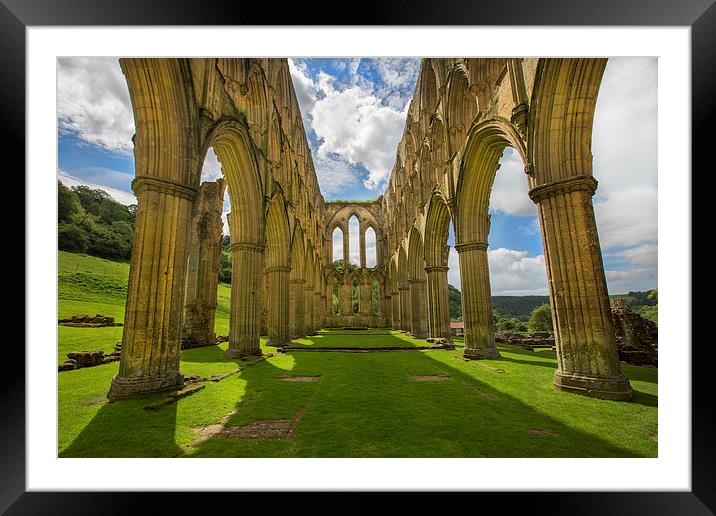 Rievaulx Abbey Framed Mounted Print by David Hare