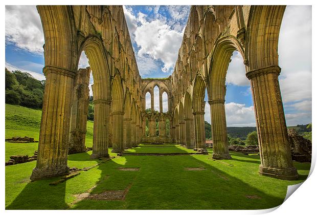 Rievaulx Abbey Print by David Hare