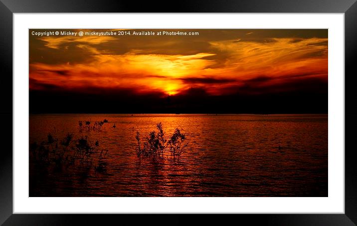 Chasewater Park Sunset Framed Mounted Print by rawshutterbug 