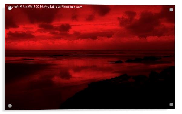 Red Sea Acrylic by Liz Ward
