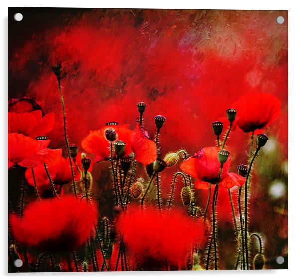 Red Acrylic by Dawn Cox