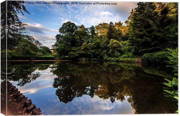 Reflections In Cockington Lake Canvas Print by Tracey Yeo