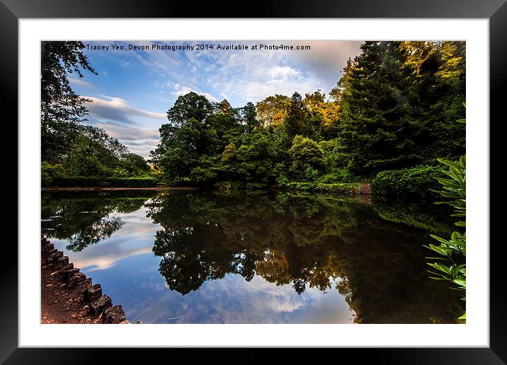 Reflections In Cockington Lake Framed Mounted Print by Tracey Yeo