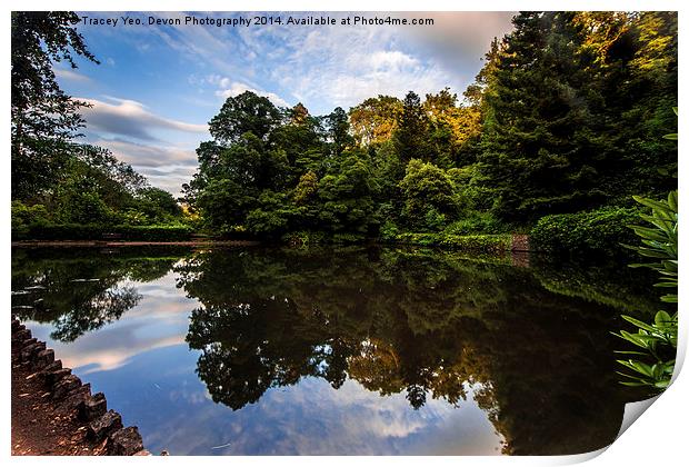 Reflections In Cockington Lake Print by Tracey Yeo
