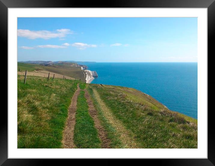 Follow the Jurassic path Framed Mounted Print by Ann Biddlecombe