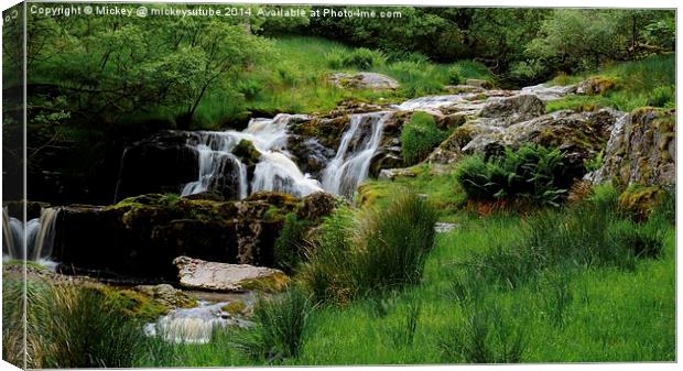 Top Falls Of Pistyll Rhaeadr Waterfalls Canvas Print by rawshutterbug 