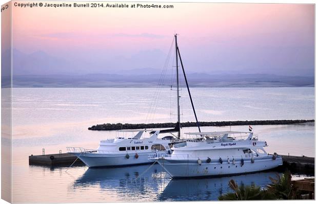 Yachts Moored in Abu Soma Canvas Print by Jacqueline Burrell