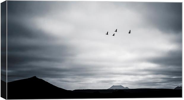 Geese Flying High Canvas Print by Peta Thames