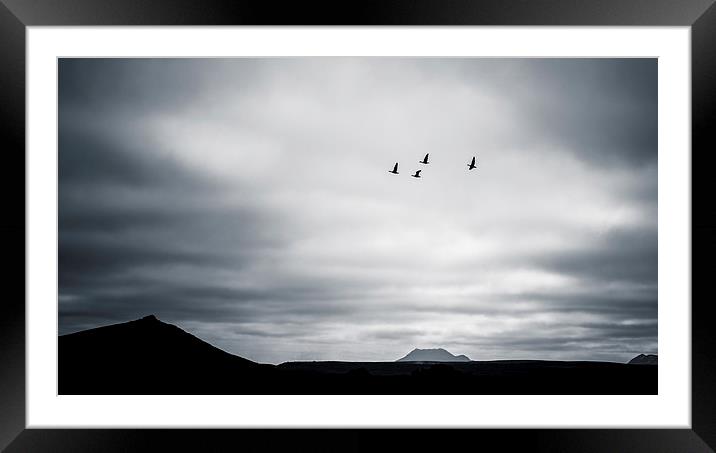 Geese Flying High Framed Mounted Print by Peta Thames